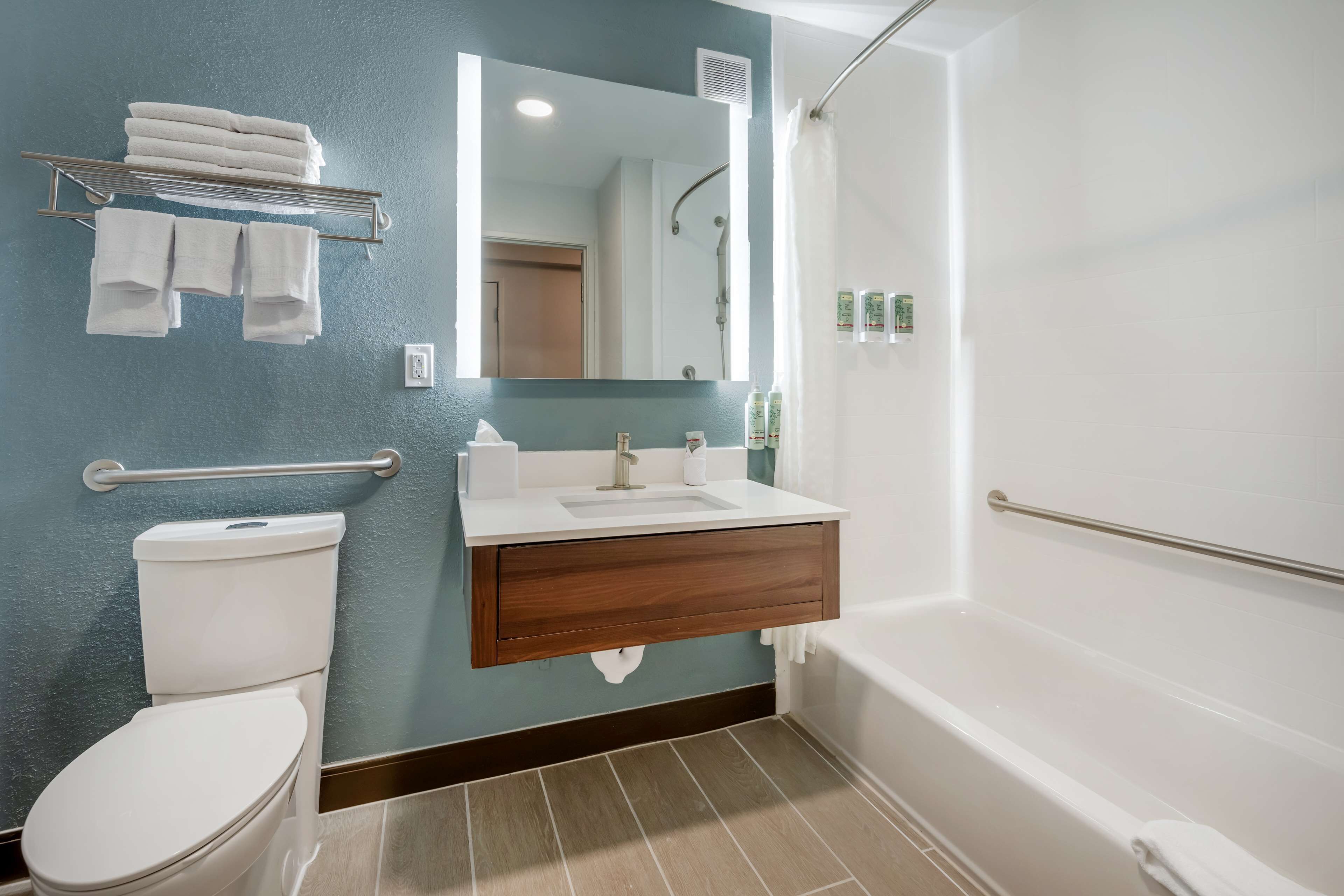 standard room, 1 king bed, accessible, refrigerator & microwave | bathroom | combined shower/bathtub, hydromassage showerhead, free toiletries