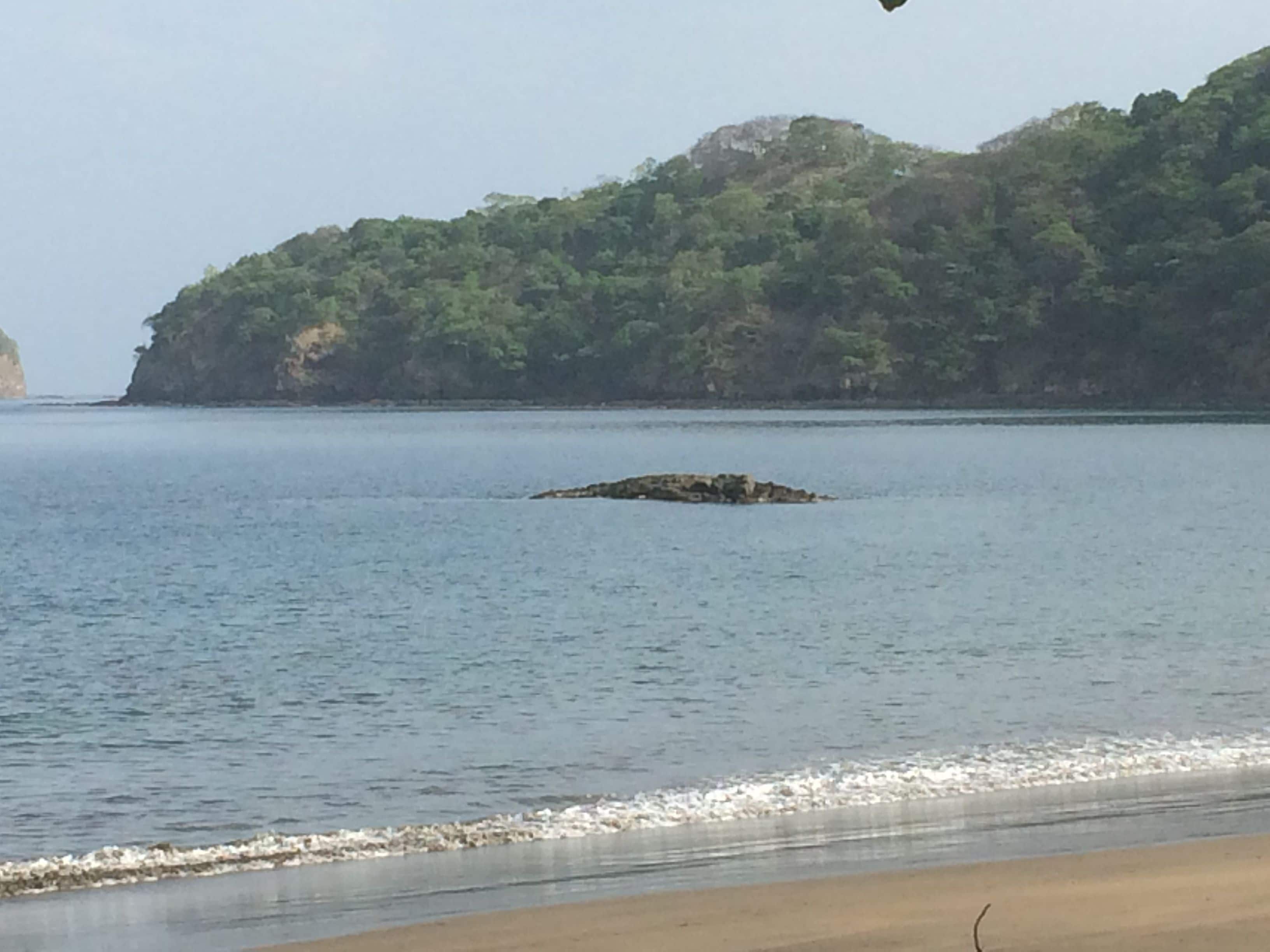Beach nearby, beach towels, water skiing, motor boating