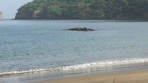 A beach with calm water, a sandy shore, and a forested hill in the background. - Coco Beach Hotel (Sardinal)
