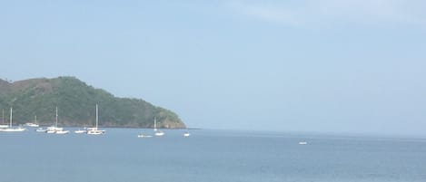 Playa en los alrededores, toallas de playa y ski acuático 