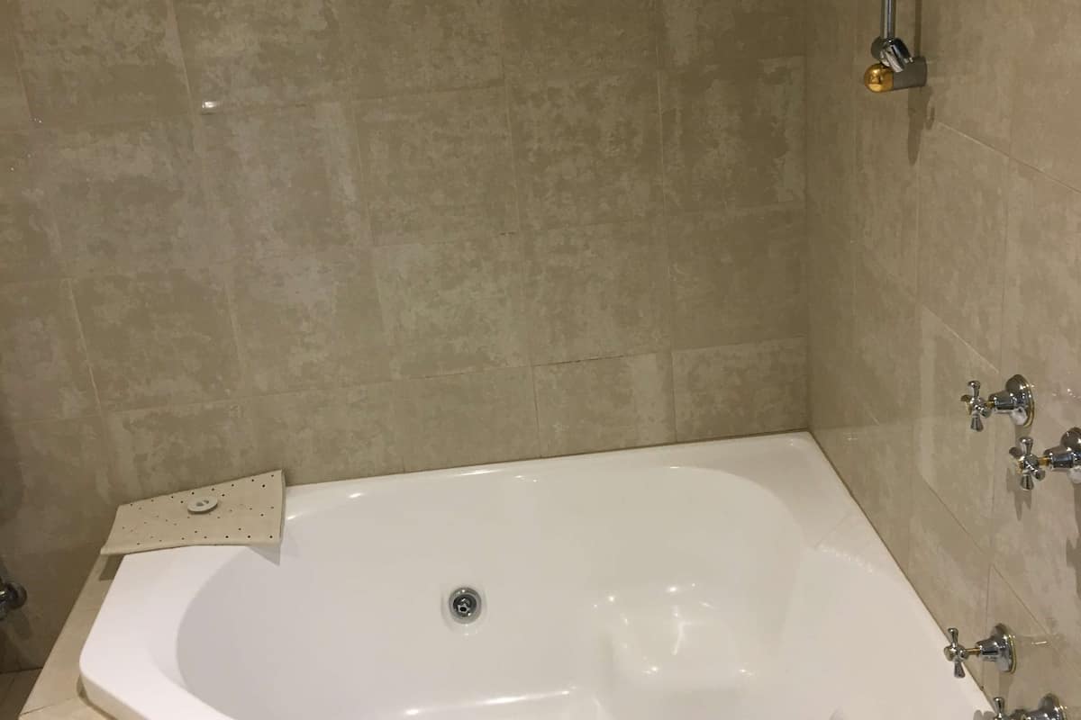 combined shower/bathtub, free toiletries, hair dryer, towels