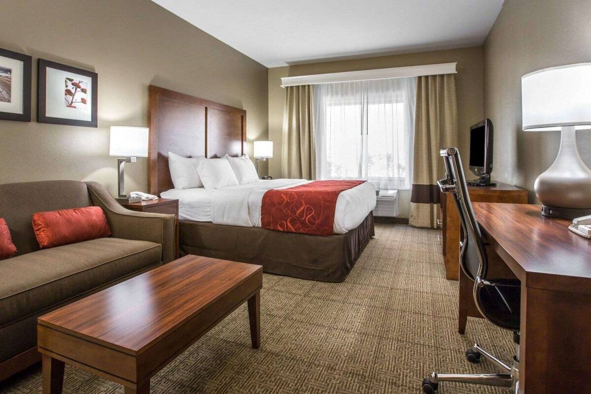 A hotel room with a bed, a sofa, a desk, a TV, and a window with curtains.