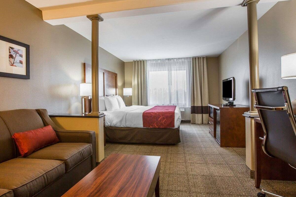 A hotel room with a bed, a sofa, a desk, a TV, and a chair.