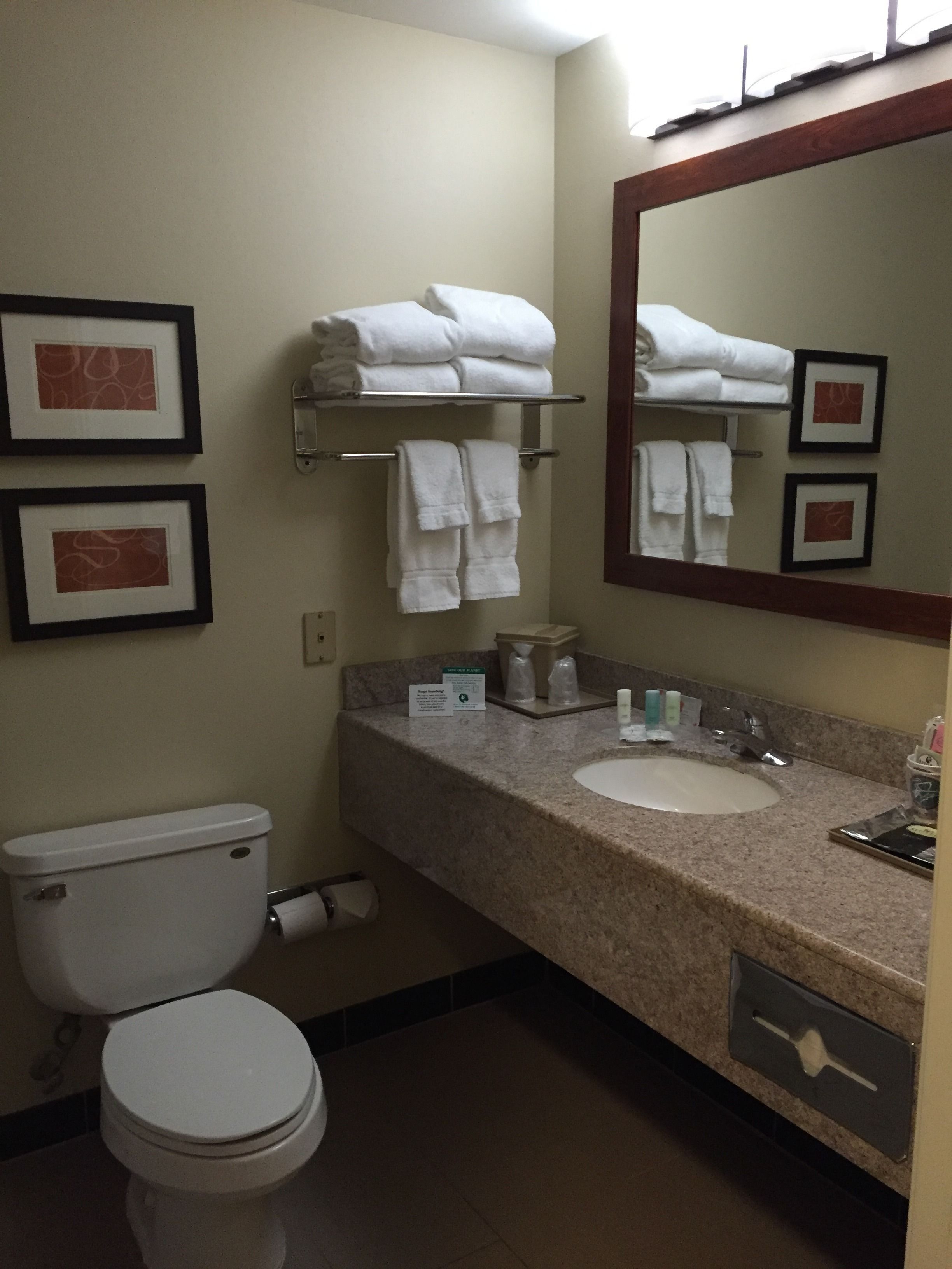 combined shower/bathtub, free toiletries, hair dryer, towels