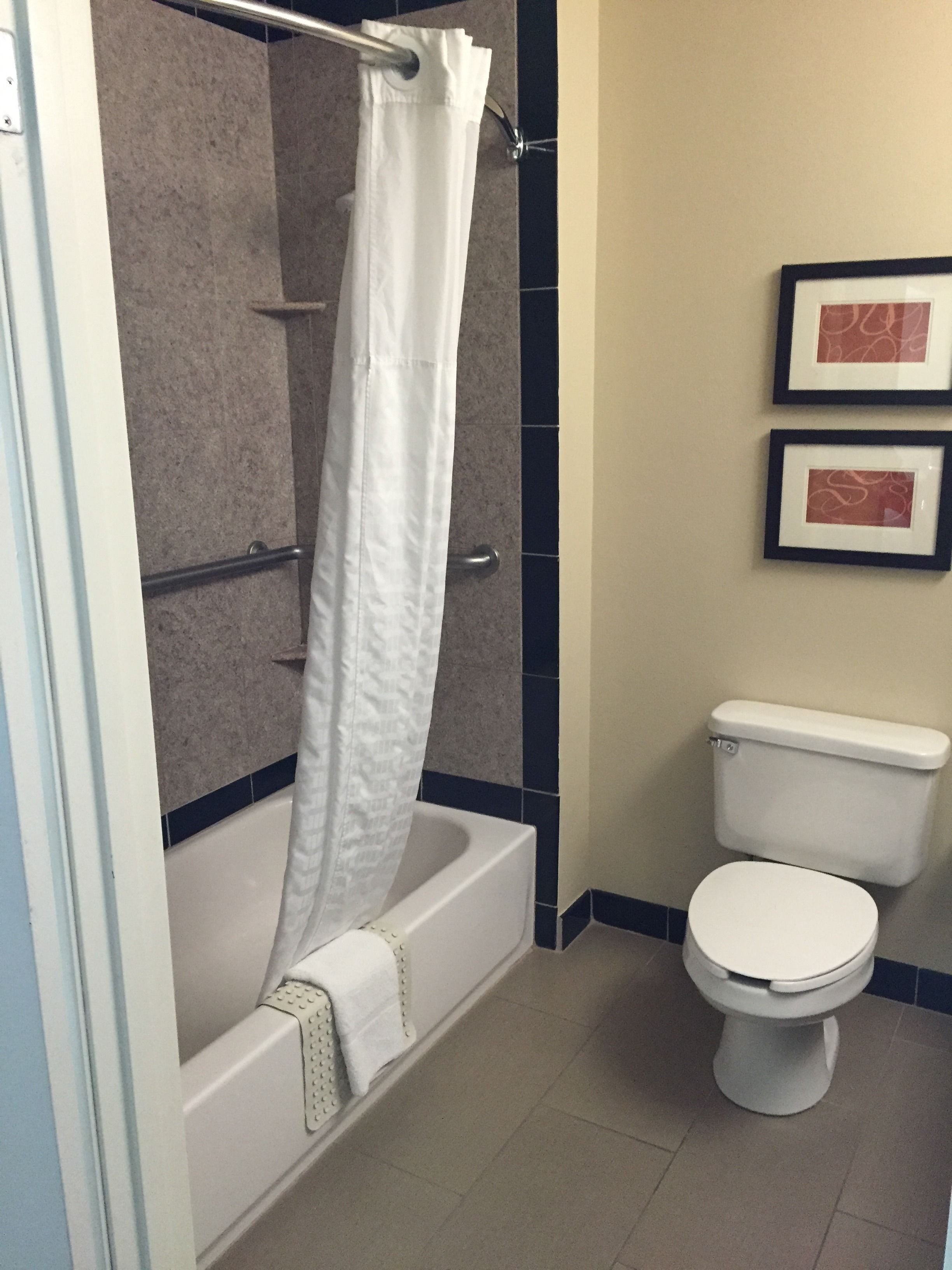 combined shower/bathtub, free toiletries, hair dryer, towels