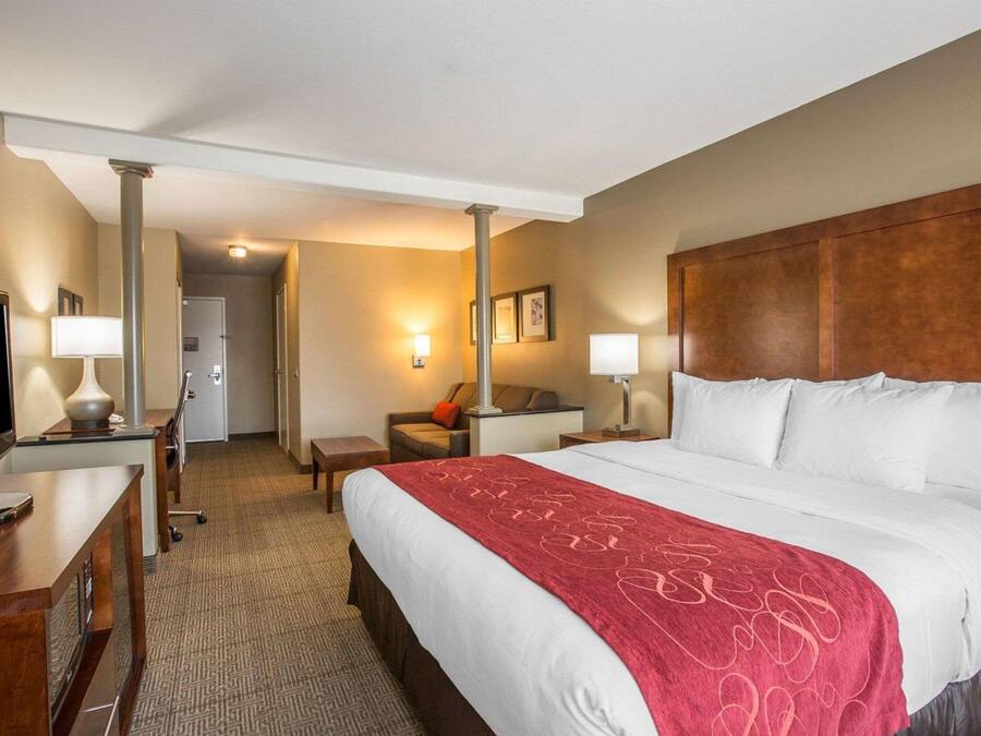 Habitación de hotel con una cama grande, un escritorio, una silla, un sofá y una mesita de noche.