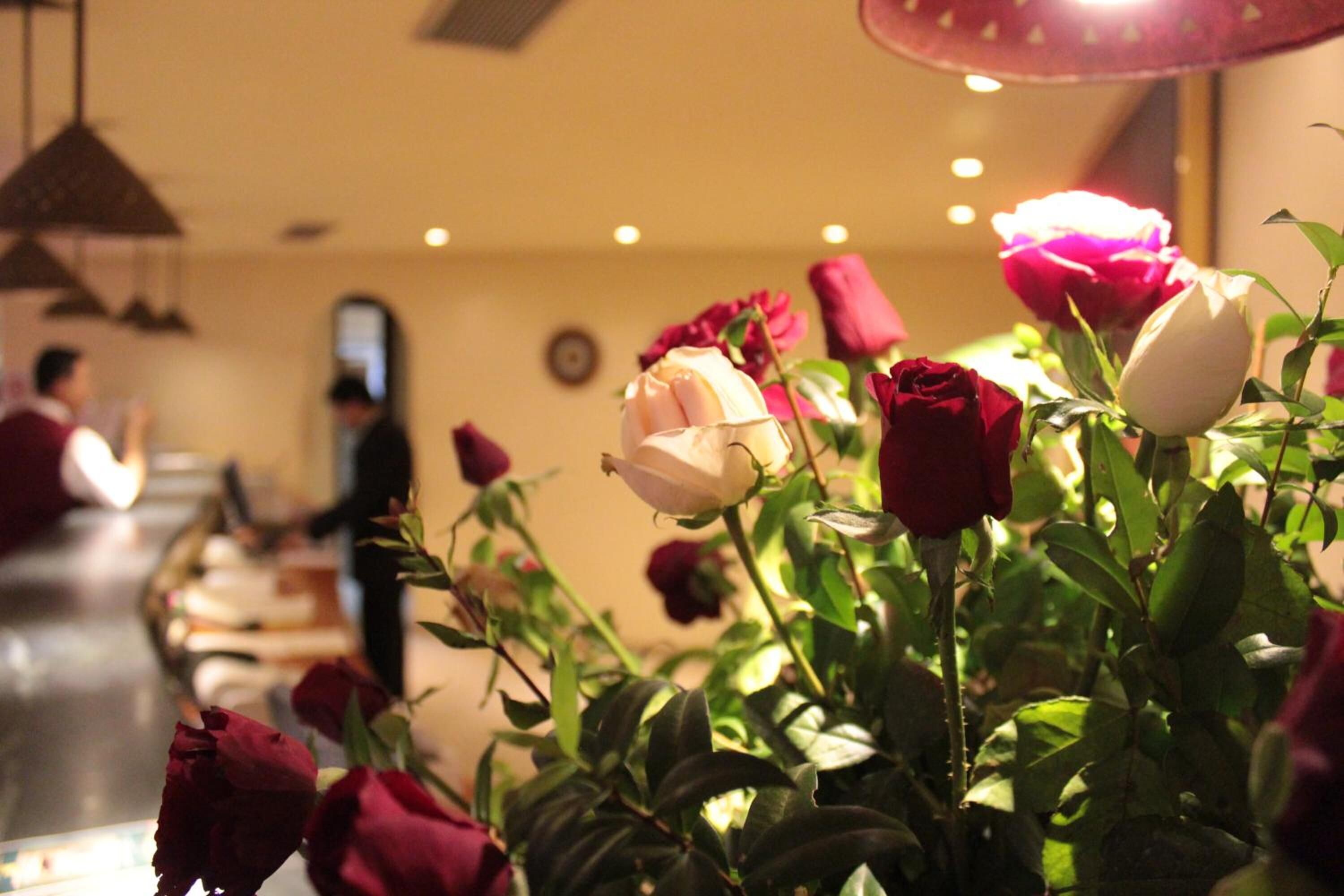 Photo - El Kantaoui Center