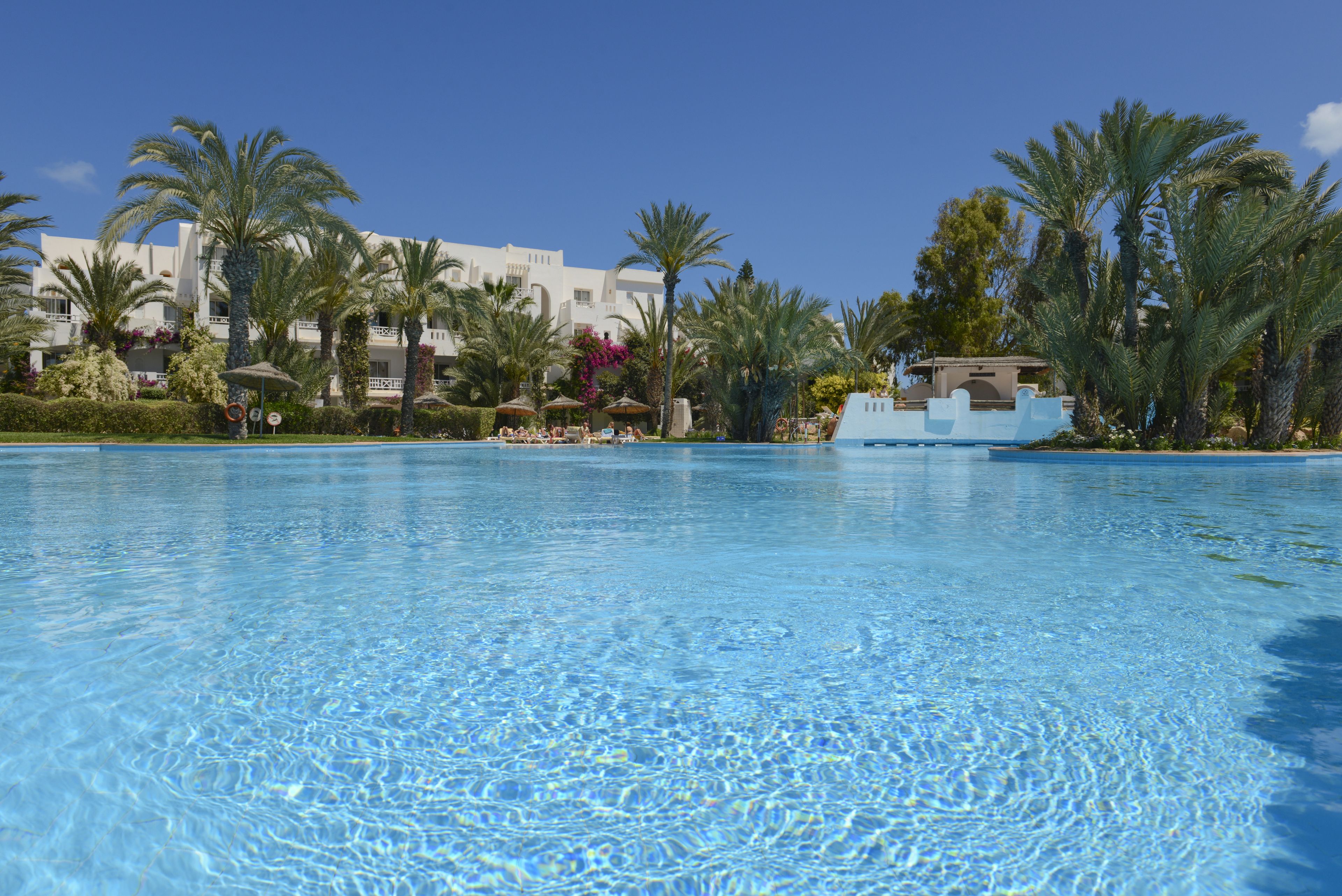 A clear blue pool surrounded by palm trees and white buildings with balconies.