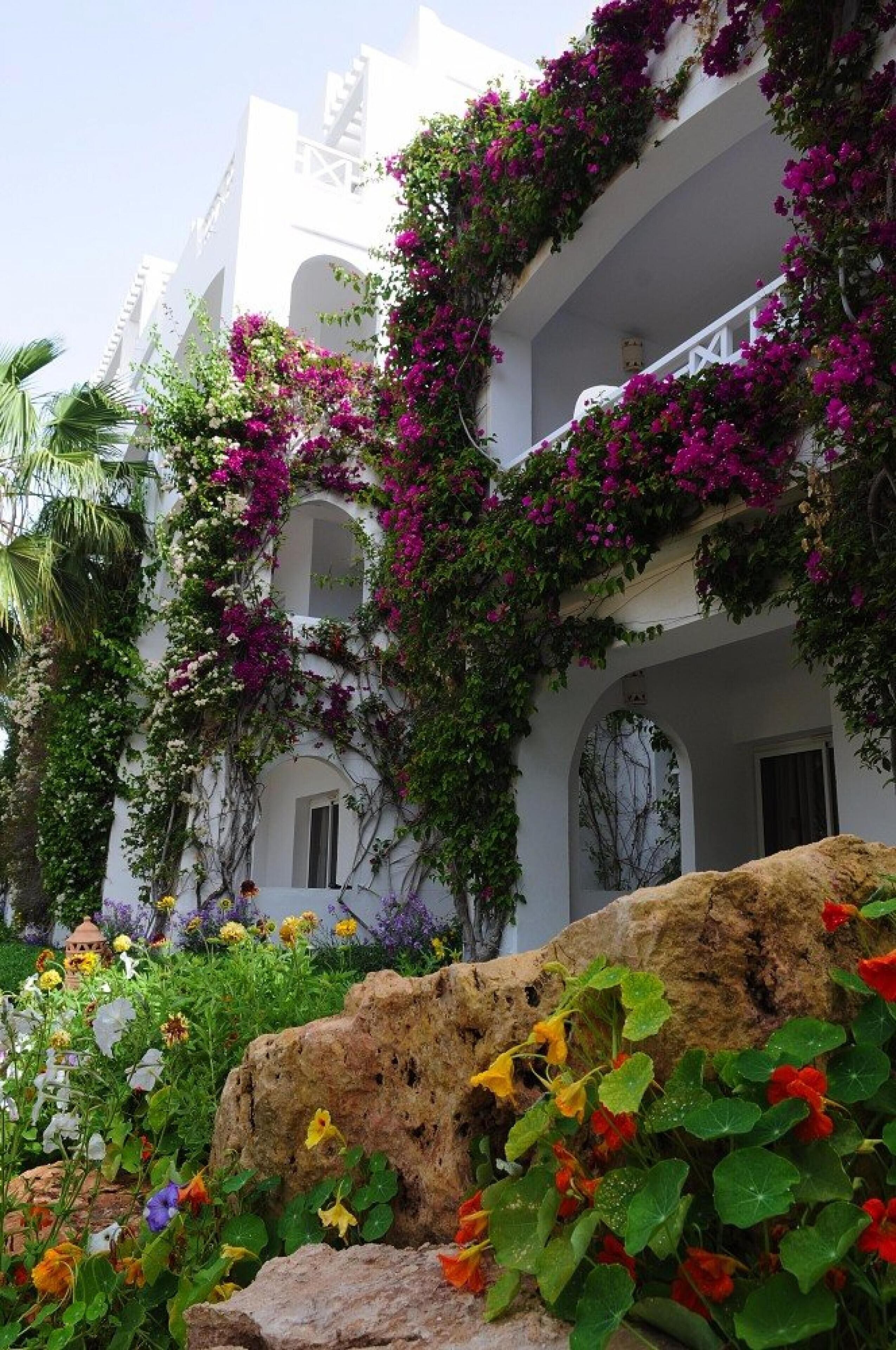 Foto - Djerba Resort- Families and Couples Only