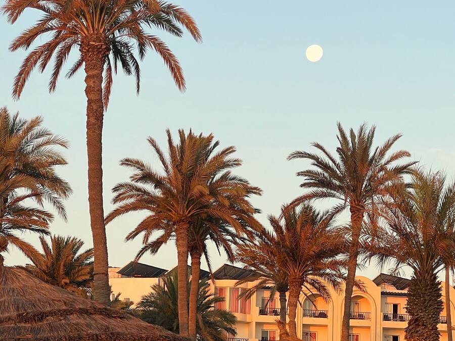 A resort with palm trees and thatched umbrellas, a clear sky, and a building with balconies.