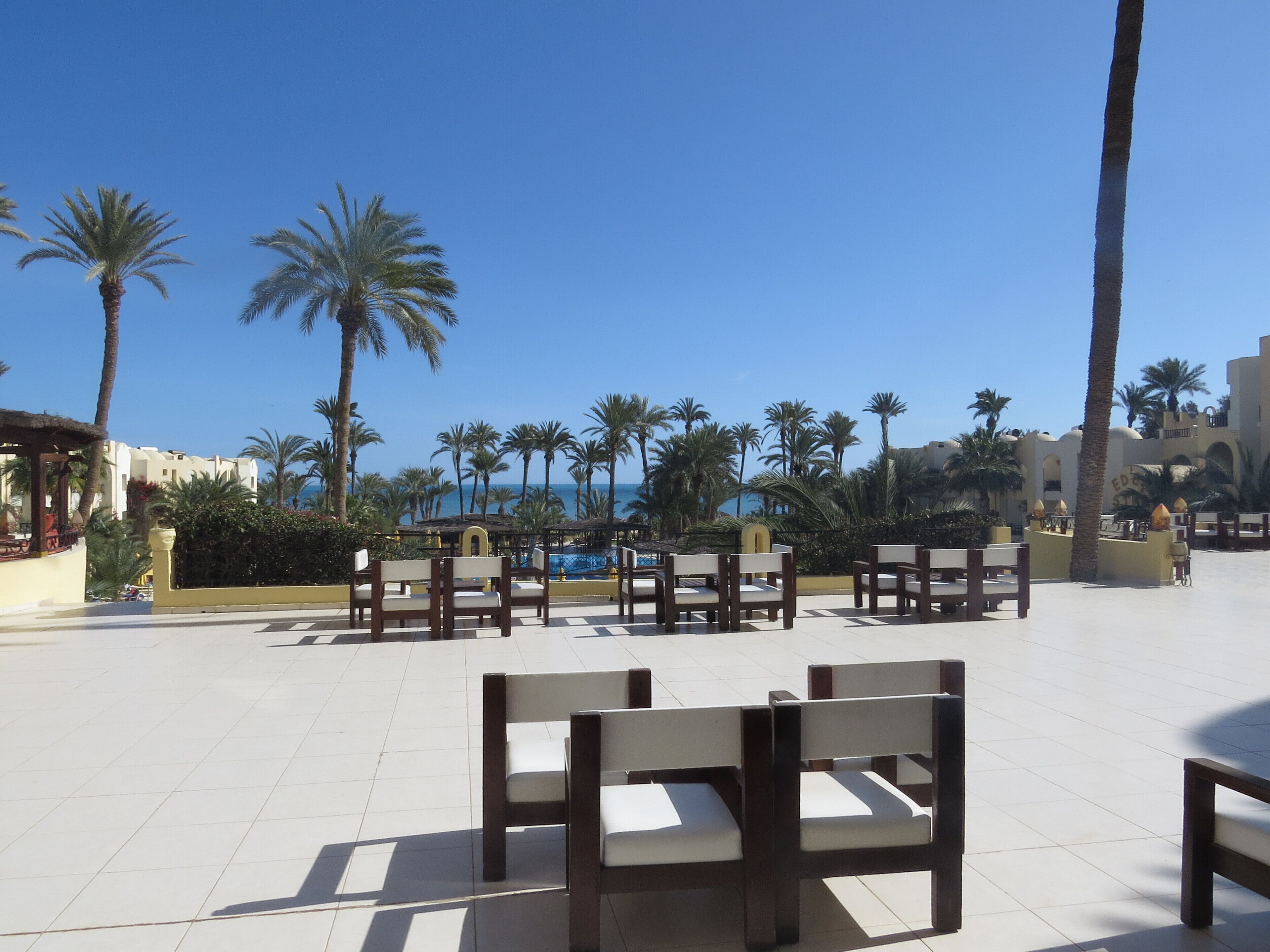 A terrace with wooden chairs and a pool area, surrounded by palm trees and a clear blue sky.