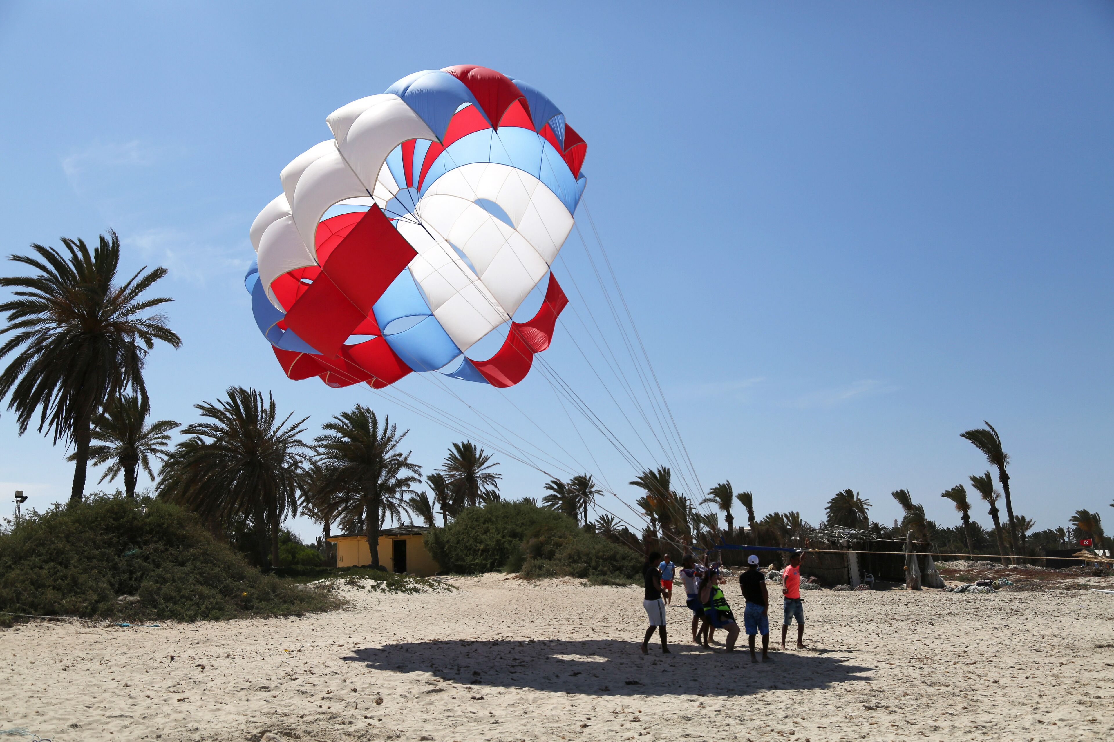 A beach with a large parachute-like structure, palm trees, and a few people.