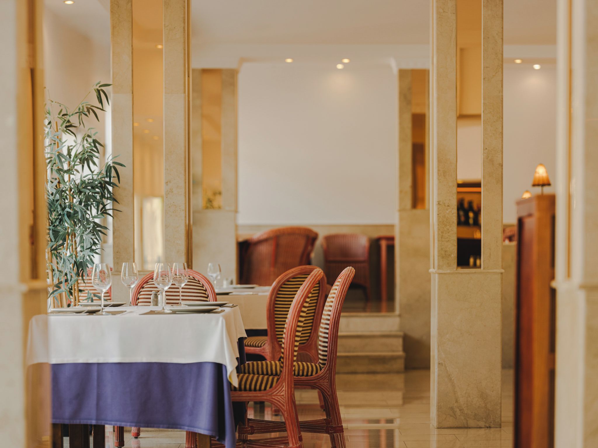 Un comedor con una mesa preparada para dos, sillas, una planta en maceta y una lámpara.