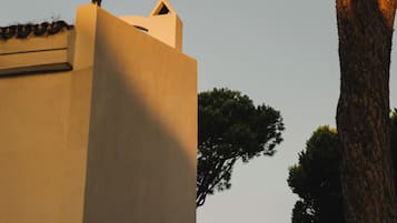 A building with a flat roof and a tree in the foreground.