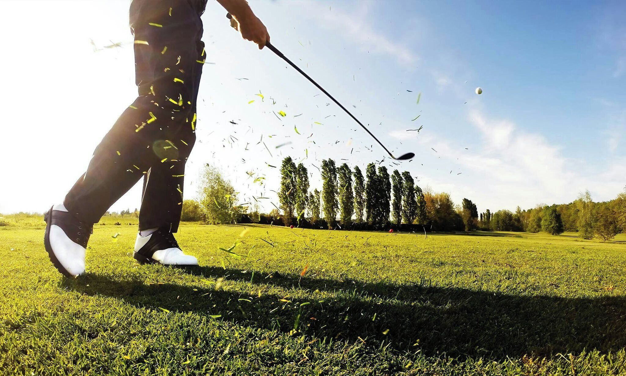 A golf course with a clear sky and trees in the background.