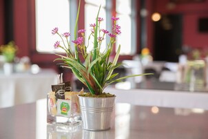 Uma planta em vaso com flores cor-de-rosa sobre uma superfície refletora em um quarto com parede vermelha e uma janela.