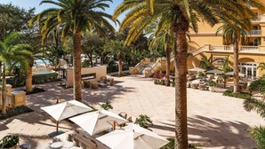 A courtyard with outdoor seating, palm trees, and a pool.