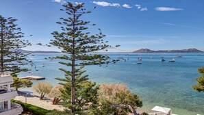 A coastal view with clear blue water, boats, and a prominent pine tree. - Hotel Illa D'Or (Pollenca)