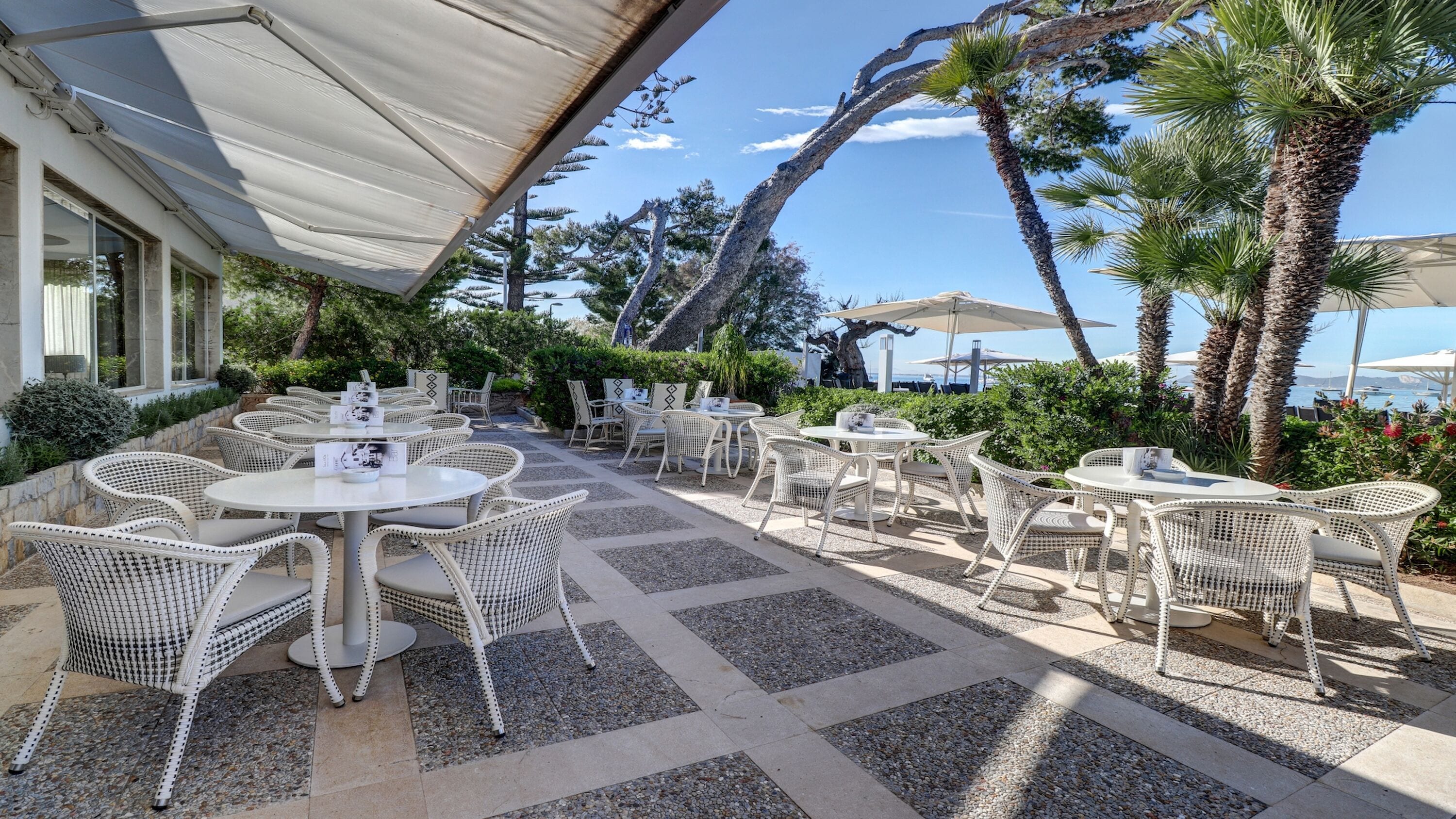 Une terrasse extérieure avec des tables rondes et des chaises en osier, entourée de palmiers et offrant une vue sur la mer.