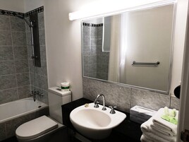 Camera Premier | Bagno | Doccia, set di cortesia gratuito, asciugacapelli, asciugamani