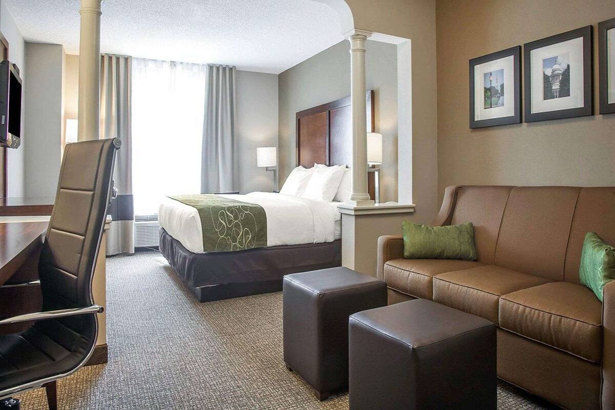 A hotel room with a bed, a sofa, a desk, and a TV.