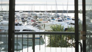 Un puerto deportivo con numerosas embarcaciones amarradas, visto a través de una ventana con barrotes.