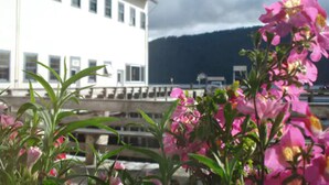 Un edificio blanco con numerosas ventanas, un puente y flores rosadas al frente.