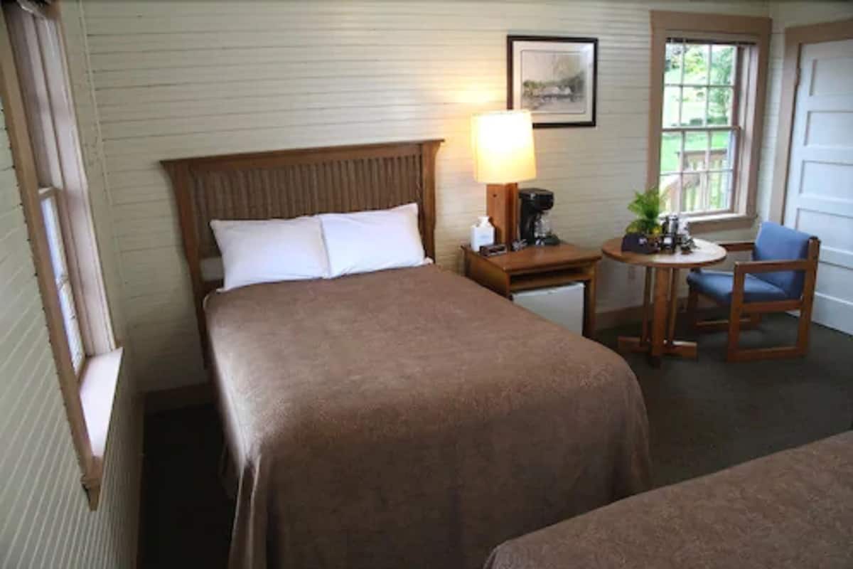 A hotel room with a bed, a nightstand with a lamp, a chair, and a small table with a plant.