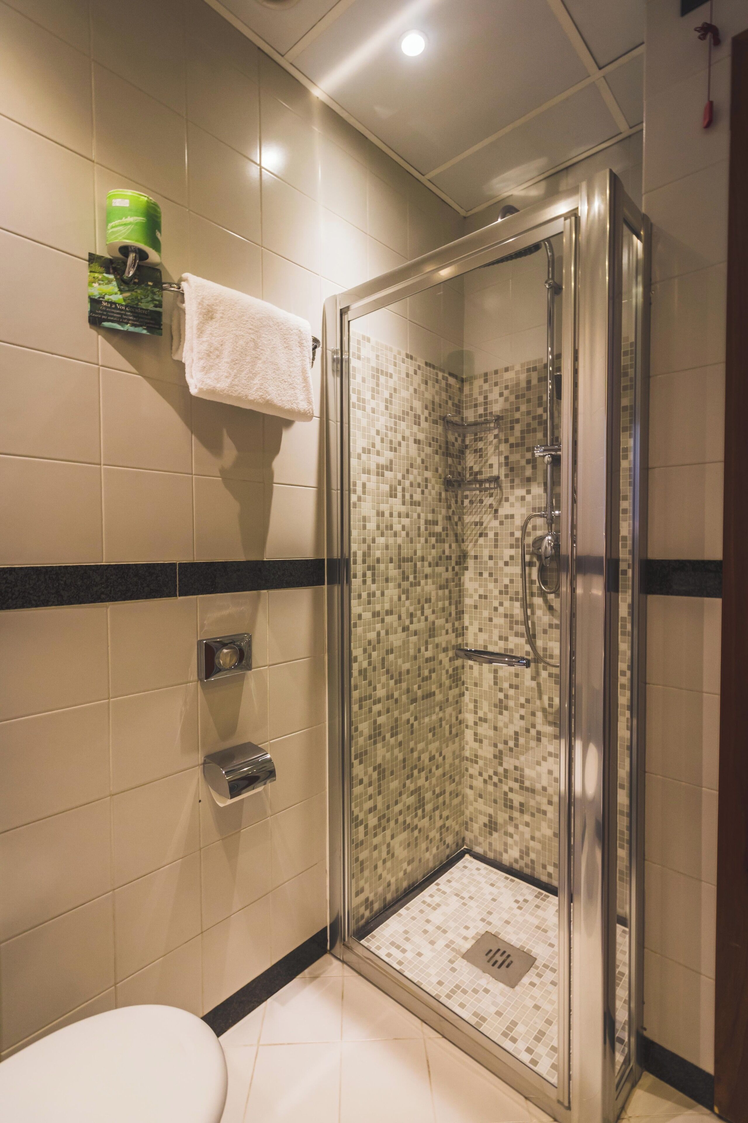 A glass-enclosed shower with a tiled floor, a toilet, and a towel rack with a green soap dispenser.