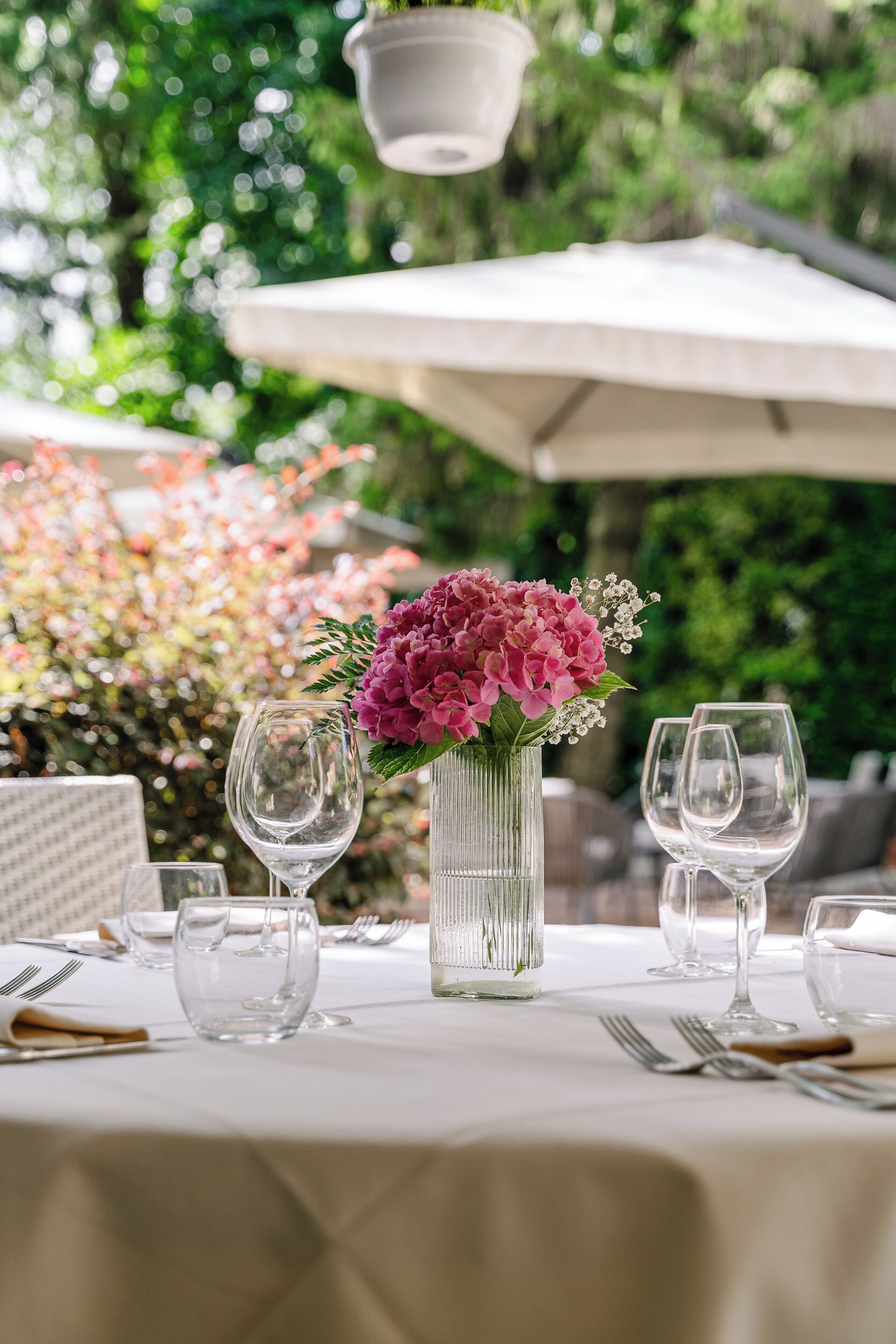 Foto - Park Hotel Ai Pini & Restaurant Ai Pini