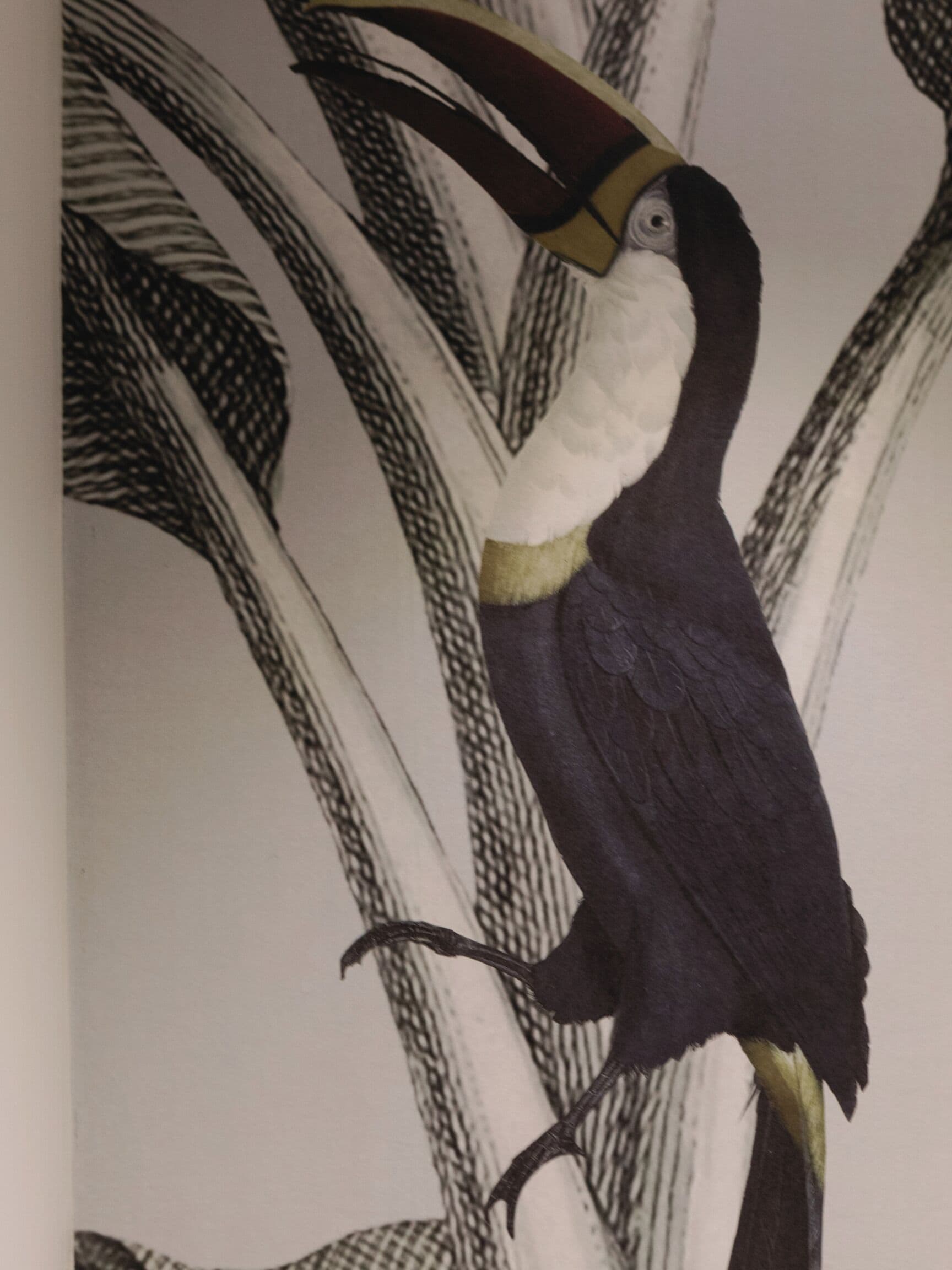Una ilustración de un pájaro en una pared.