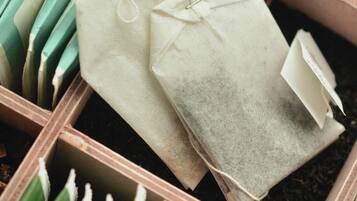 ๋งค์ผ ๋ทํ ์์นจ ์์ฌ(1์ธ๋น EUR 15)