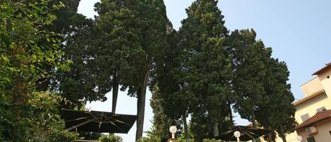 A courtyard with tall trees, a pergola, and a building with a tiled roof.
