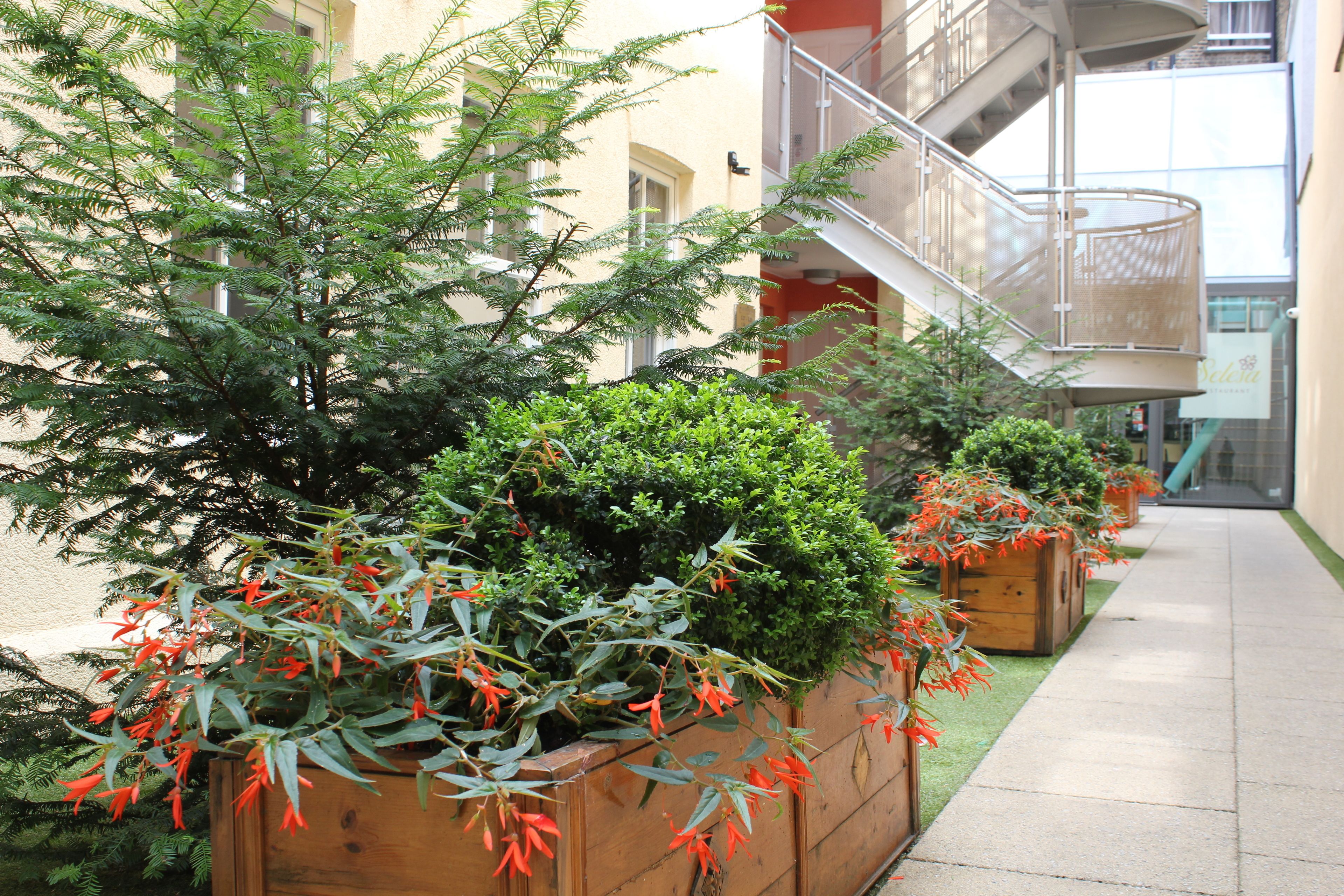 A narrow corridor with wooden planters containing green shrubs and red flowering plants. A metal staircase with a glass railing is visible in the background.