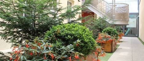 A narrow corridor with wooden planters containing green shrubs and red flowering plants. A metal staircase with a glass railing is visible in the background.
