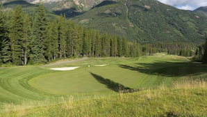 Een golfbaan met vlaggenpaal, omringd door dichte bossen en bergen.