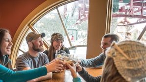 Een groep mensen proost met glazen aan een houten tafel, met een groot raam op de achtergrond.