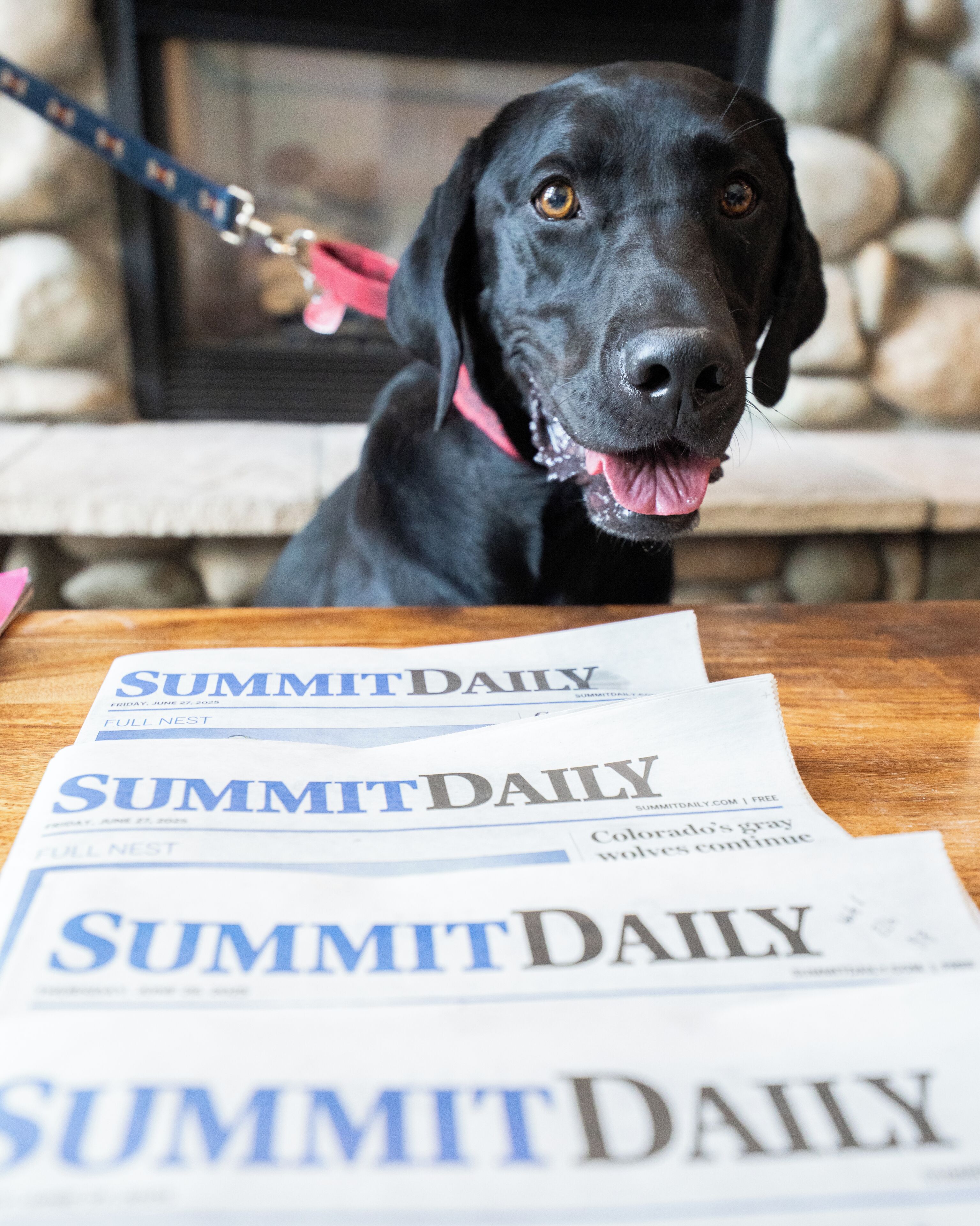 Ein schwarzer Hund sitzt an der Leine vor einem Kamin, auf einem Holztisch liegt die Zeitung SummitDaily.