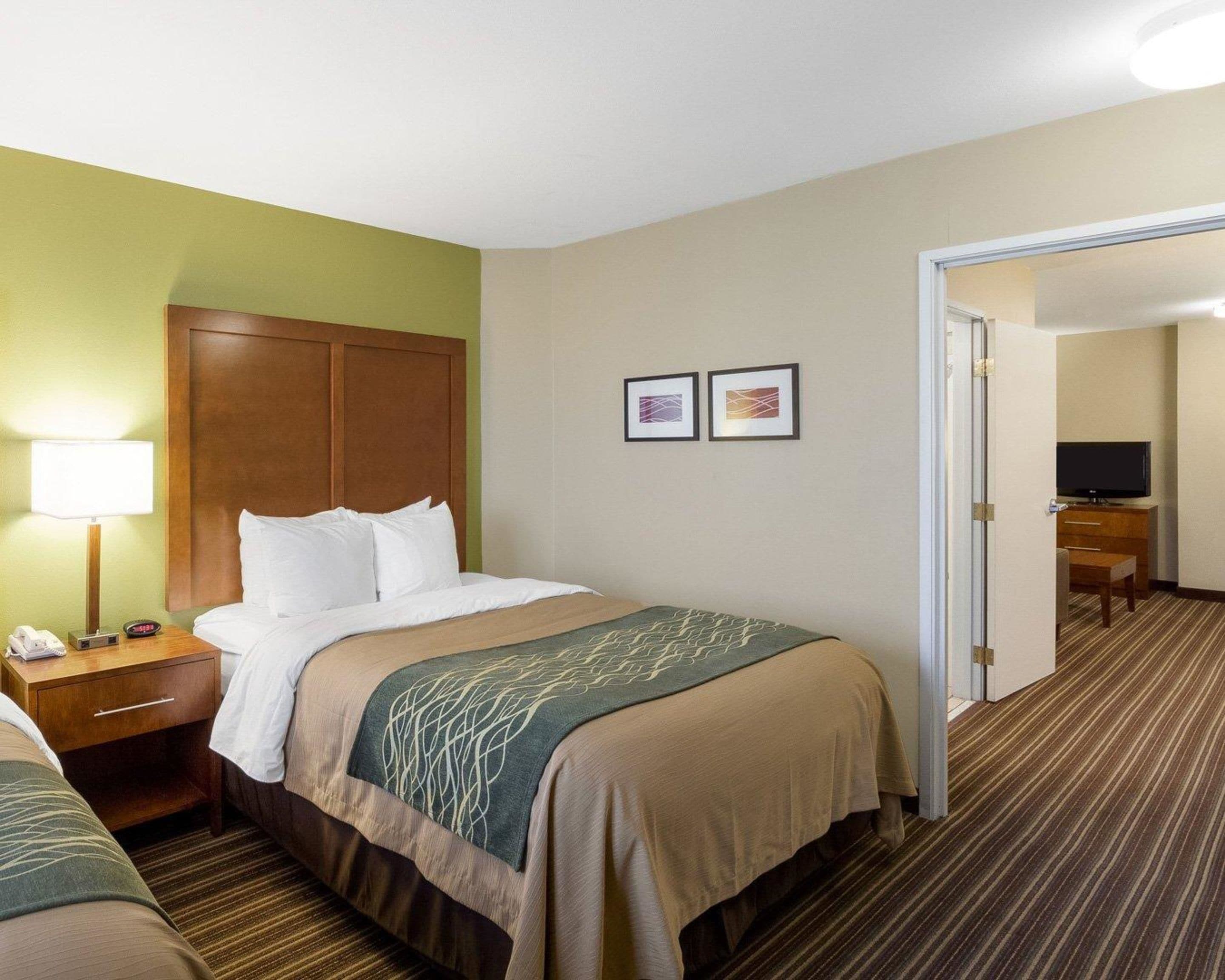 A hotel room with a bed, bedside table, lamp, and a television in the corner.