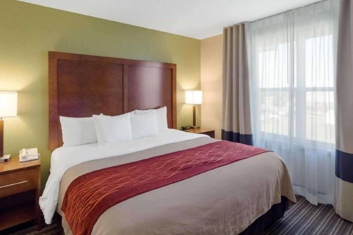 A hotel room with a bed, a nightstand, a lamp, and a window with curtains.