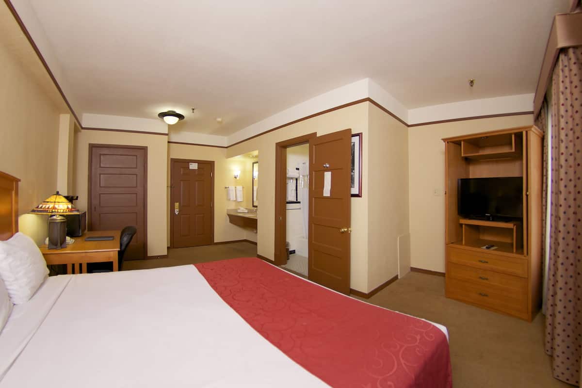 Basic Room, 1 Queen Bed | Individually decorated, individually furnished, desk, blackout curtains