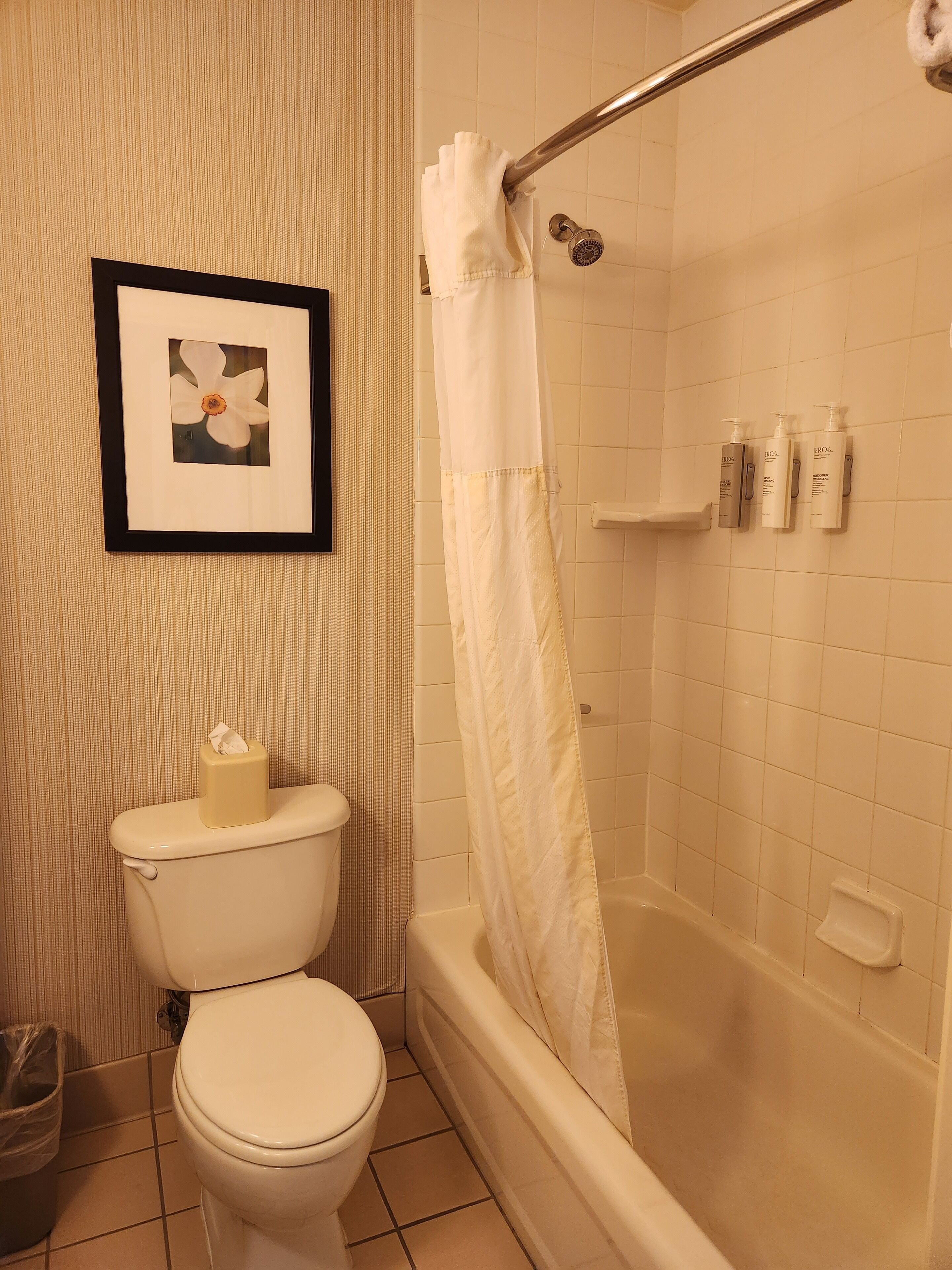 free toiletries, hair dryer, towels