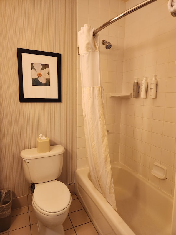 A bathroom with a toilet, a framed picture on the wall, a shower curtain, and toiletries on the wall.