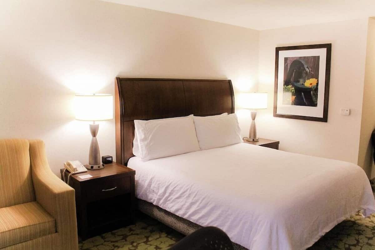 Une chambre d’hôtel avec un lit, deux lampes de chevet, une chaise, une table de chevet avec un téléphone et un tableau encadré au mur.