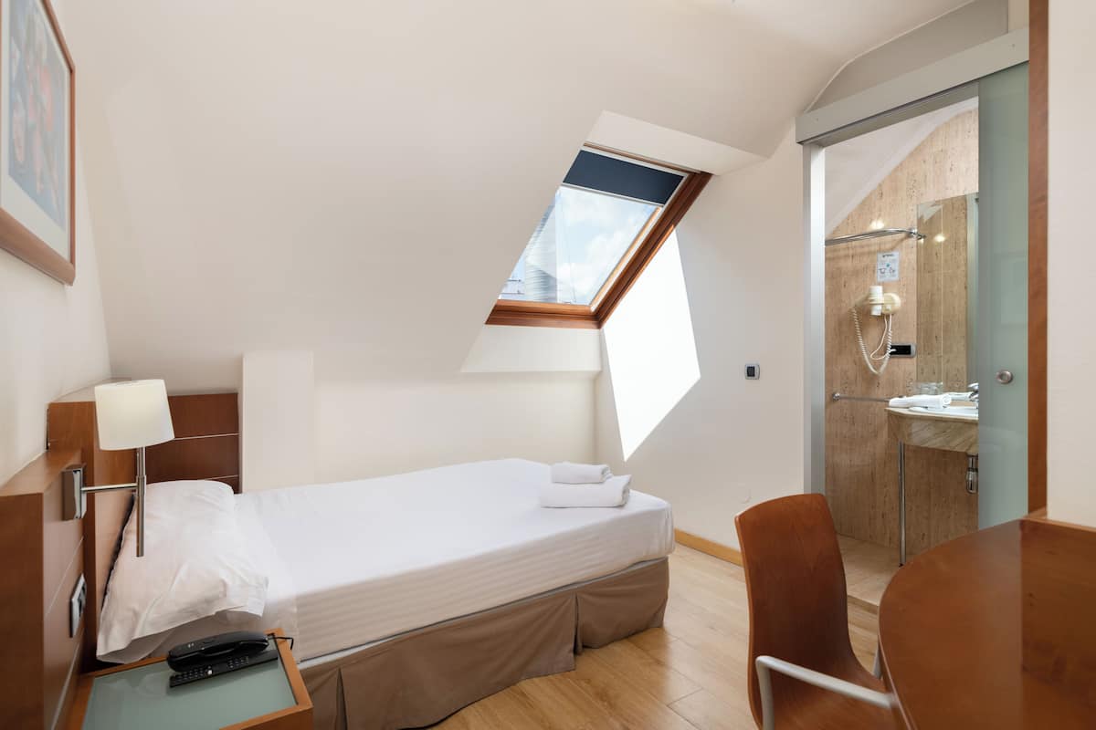 A hotel room with a bed, a desk, a chair, a bathroom with a shower, and a skylight.