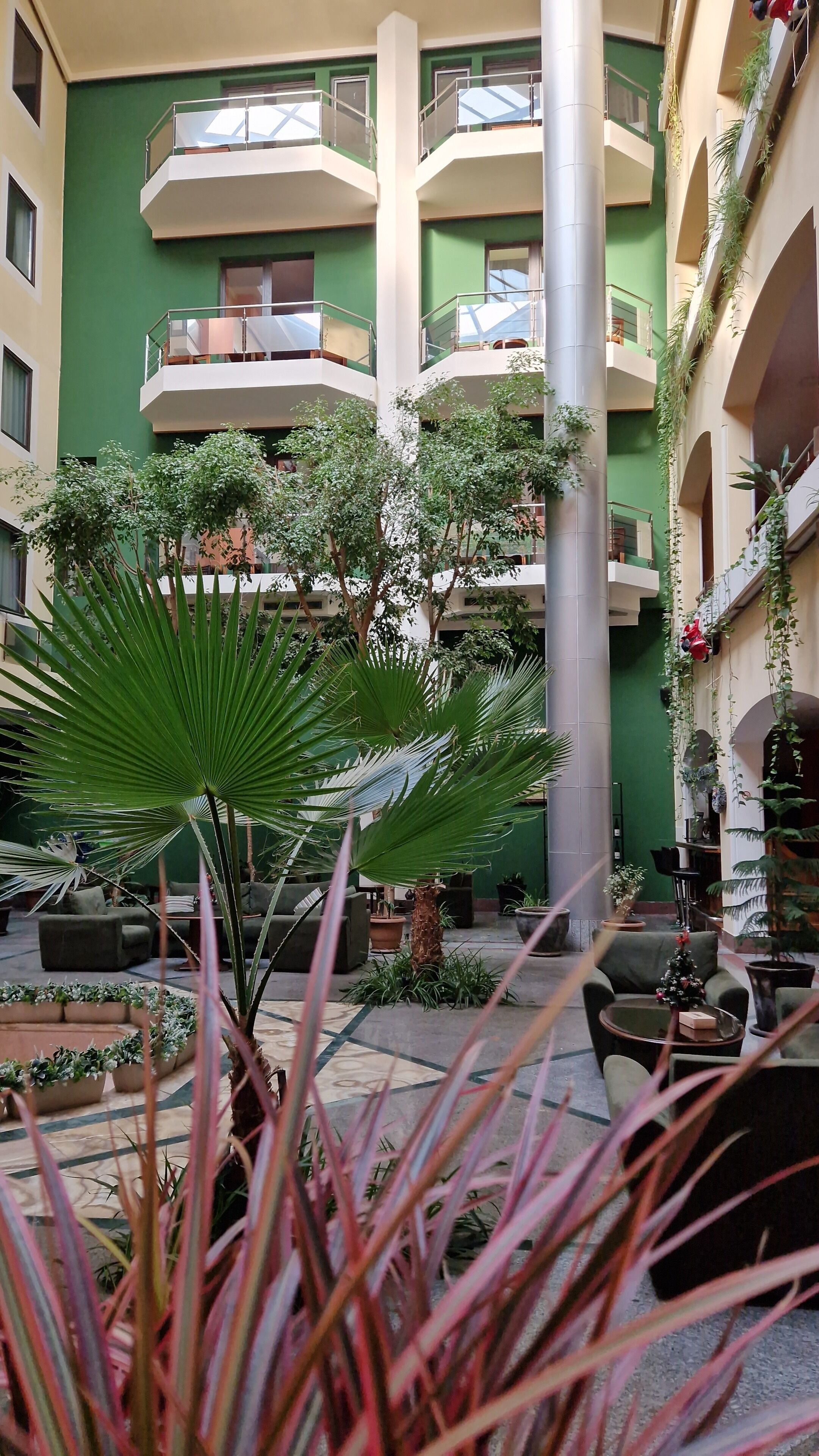 テラス / パティオ