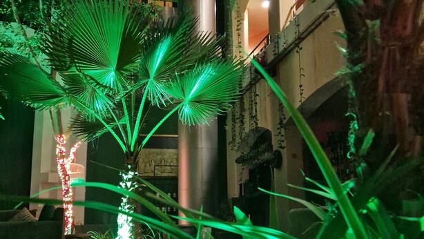 A well-lit indoor atrium with a central column, surrounded by lush green plants and palm trees, and a staircase leading to upper levels. - Ararat Hotel (Yerevan)