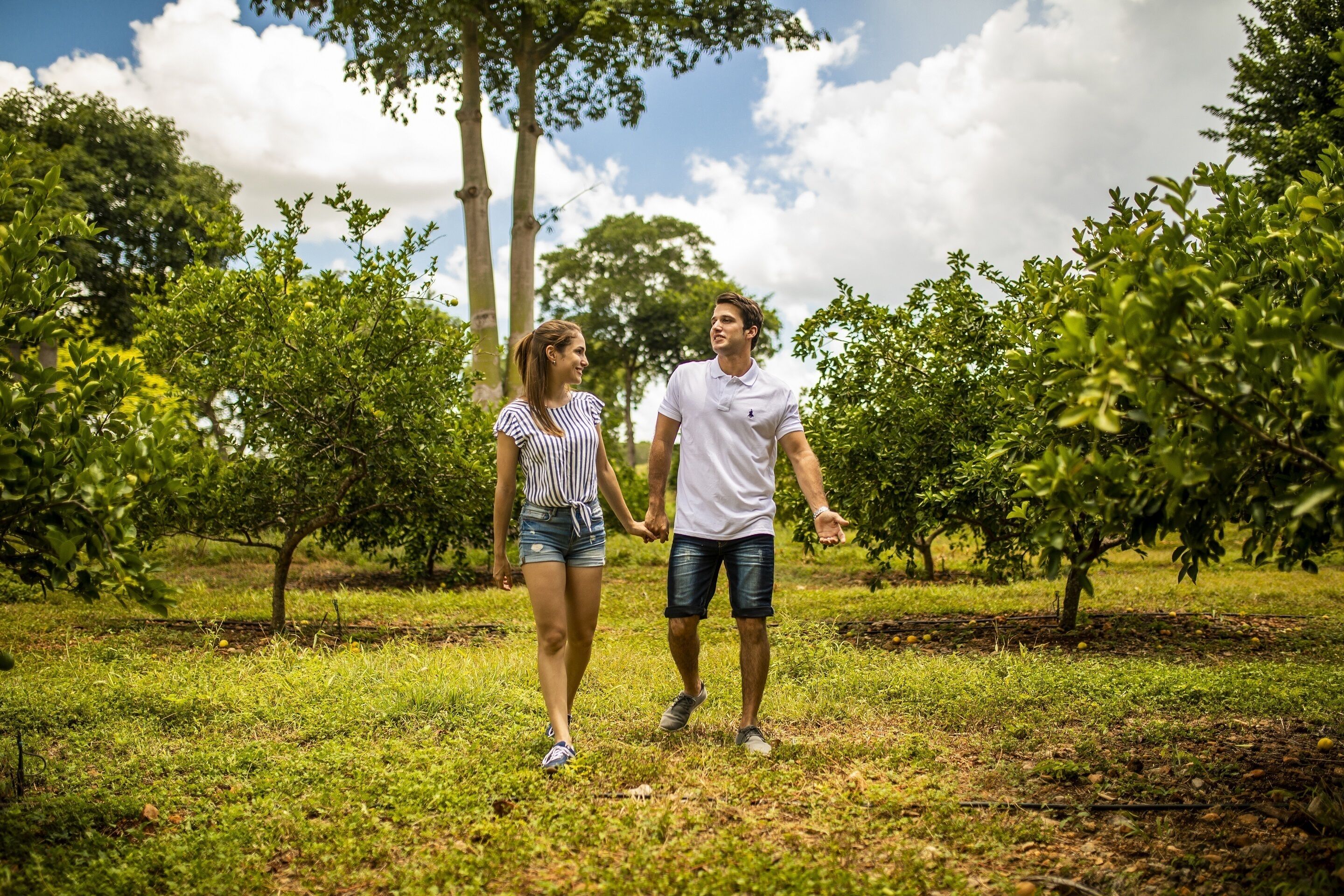 Foto - The Lodge At Uxmal