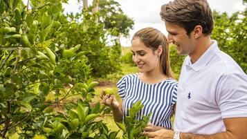 Un hombre y una mujer están de pie en un jardín con follaje verde.