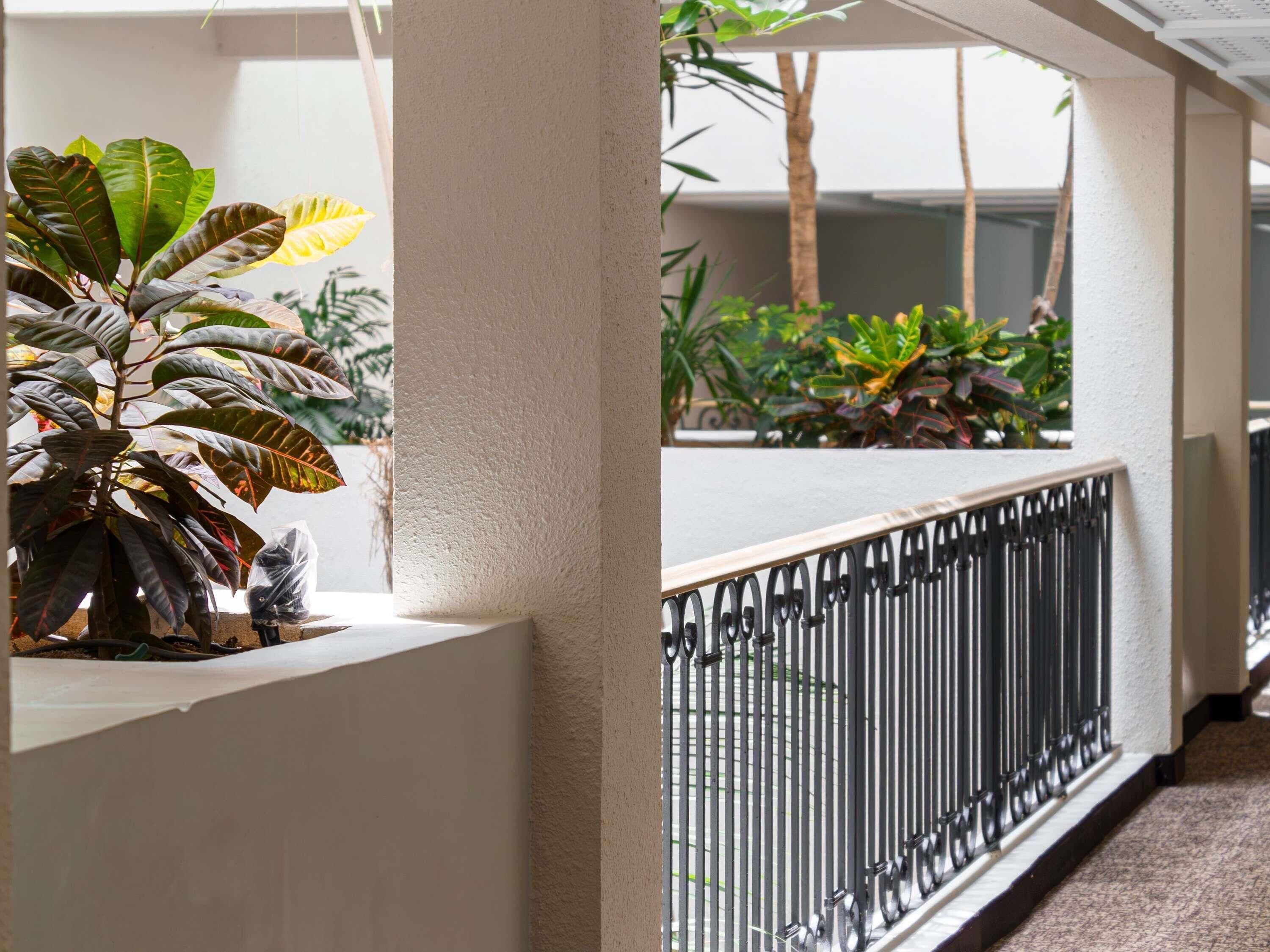 Sábanas de algodón egipcio, ropa de cama de alta calidad y minibar 